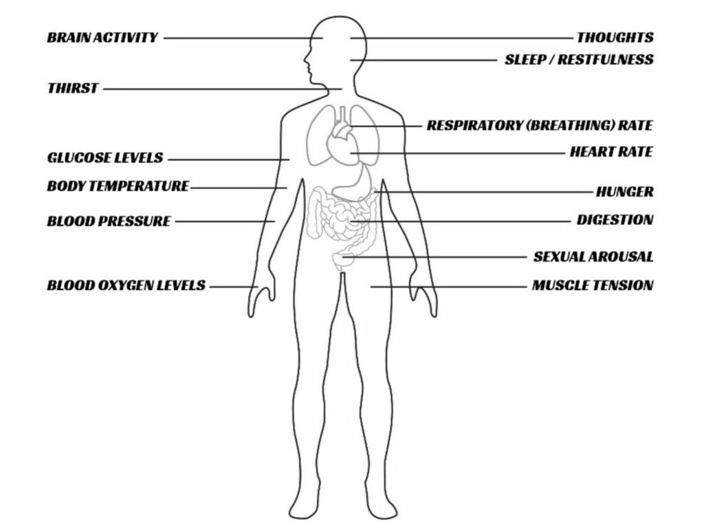 breathwork brain activity